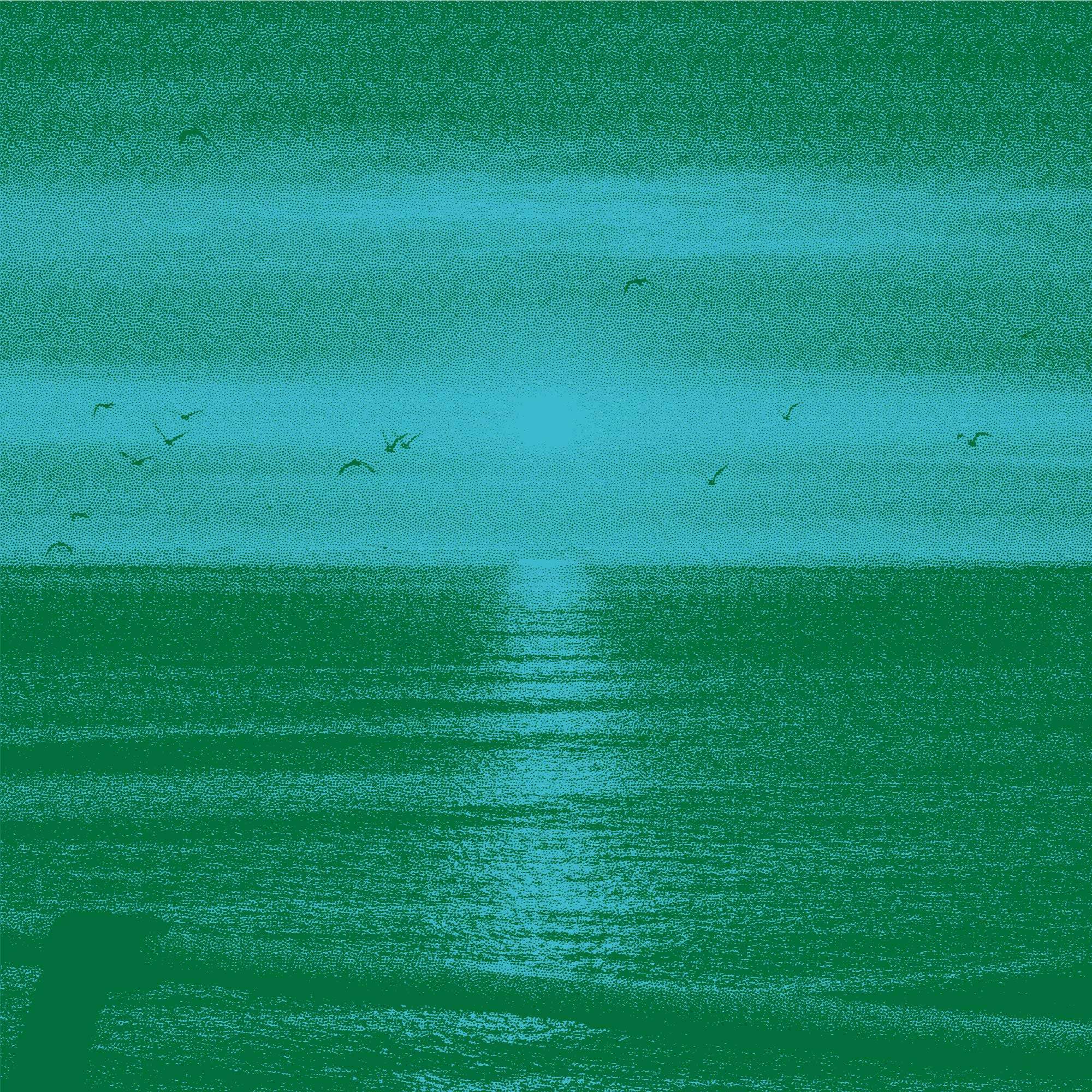 Call to the Sea film screening